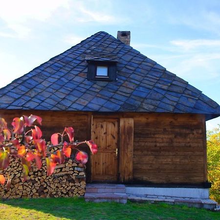 Cabin Menka Sirogojno Buitenkant foto